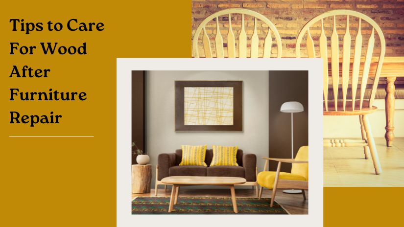 5 Pro Tips to Take Care For Wood After Furniture Repair
