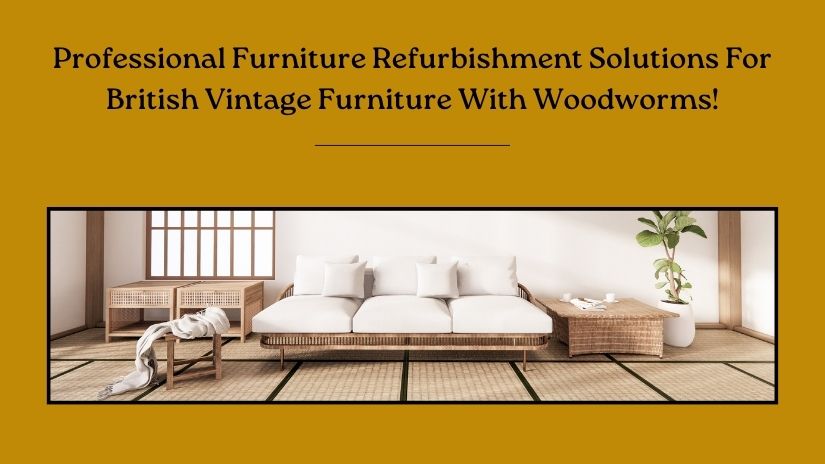 Professional Furniture Refurbishment Solutions For Woodworms in British Vintage Furniture