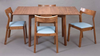 Paint vs Polish - Right Pick for Ercol furniture restoration