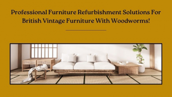 Professional Furniture Refurbishment Solutions For Woodworms in British Vintage Furniture